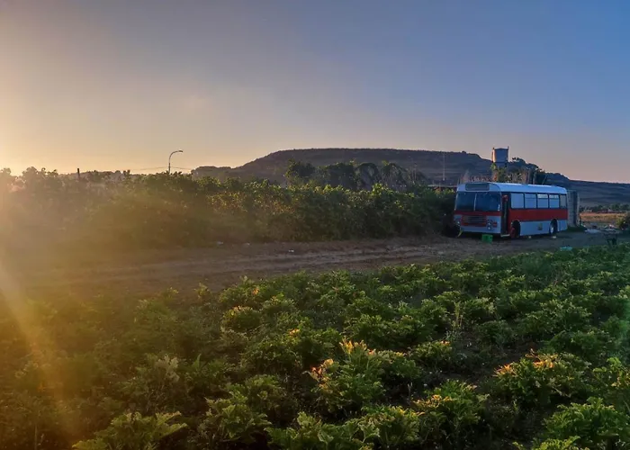 The Gozo Bus Xaghra