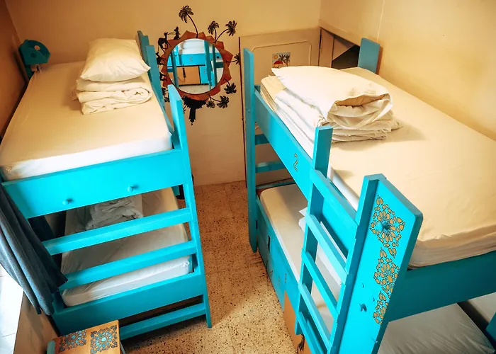 Pet friendly Hostel Malti Budget Saint Julian's